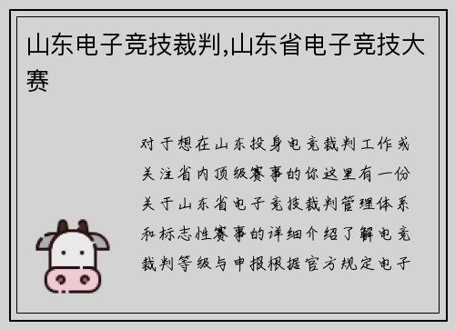 山东电子竞技裁判,山东省电子竞技大赛